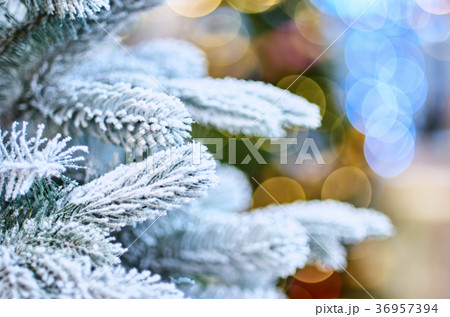 snow-covered branch of artificial fir snow-covered branch of artificial fir 36957394