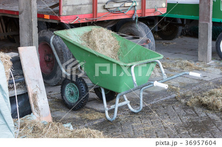 Wheelbarrow on a farm 36957604