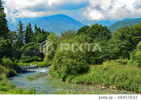 初夏の大出公園 白馬村を流れる清流と雄大な北アルプスの山々の絶景 初夏の大出公園 白馬村を流れる清流と雄大な北アルプスの山々の絶景 36957632