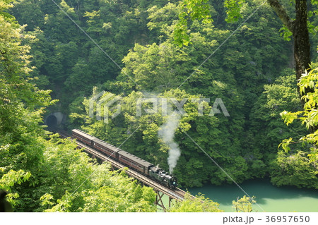 SL只見線 36957650