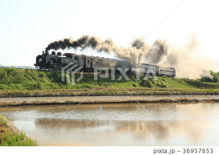 SL只見線 36957653