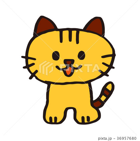 猫色付き 猫色付き 36957680