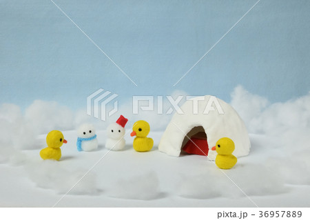 ピヨちゃんのかまくら遊び　雪だるまと一緒 36957889