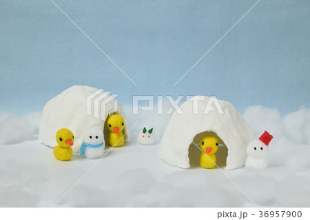 ピヨちゃんのかまくら遊び　雪だるまと雪うさぎと一緒 36957900