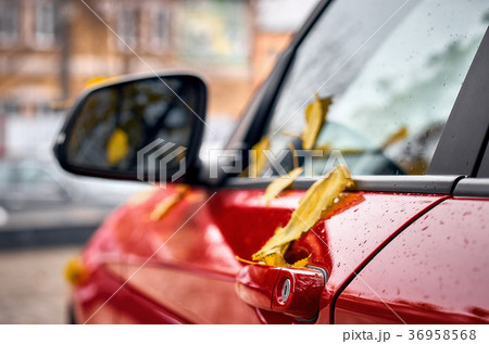 Red car door handle. Autumn weather 36958568