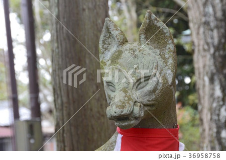 キツネの石像(孫太郎稲荷神社/奈良県奈良市西ノ京町) キツネの石像(孫太郎稲荷神社/奈良県奈良市西ノ京町) 36958758