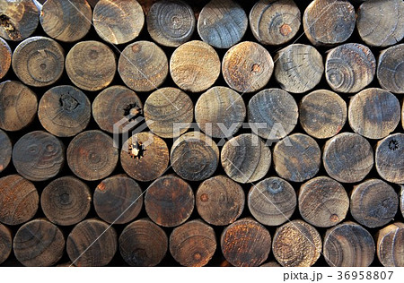 ウッド 木材 木 36958807