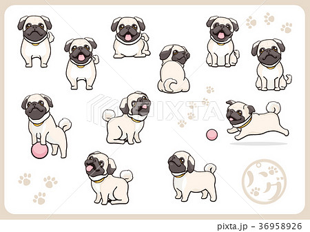 パグ03のイラスト素材 [36958926] - PIXTA