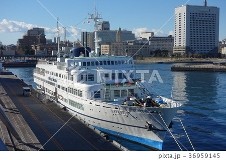 ロイヤルウイング 36959145