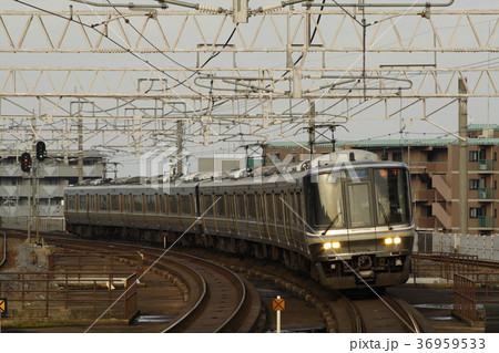 223系　新快速 36959533
