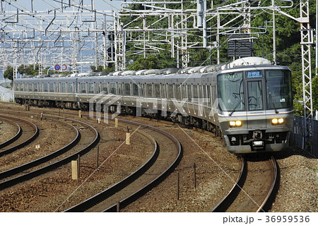 223系　新快速 36959536