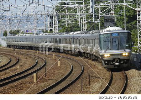 223系　新快速 36959538