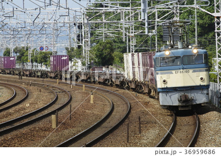 EF65形 貨物列車 EF65形 貨物列車 36959686