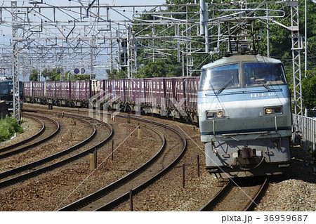 EF66形　貨物列車 36959687