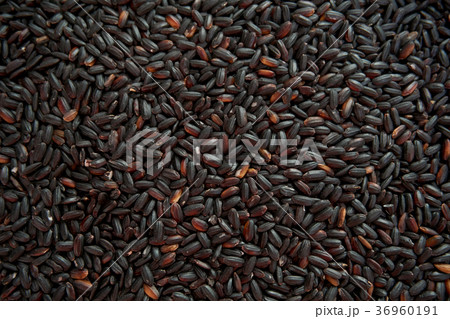 One of the grains,black rice. One of the grains,black rice. 36960191