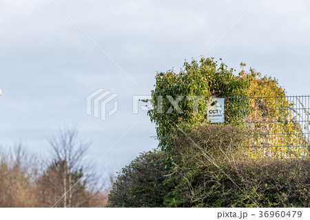 Generic CCTV in Operation Warning Sign on bushes Generic CCTV in Operation Warning Sign on bushes 36960479