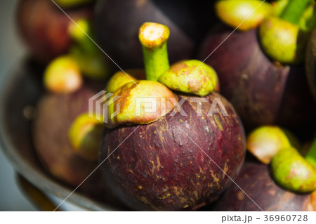 Mangosteen on the scales 36960728