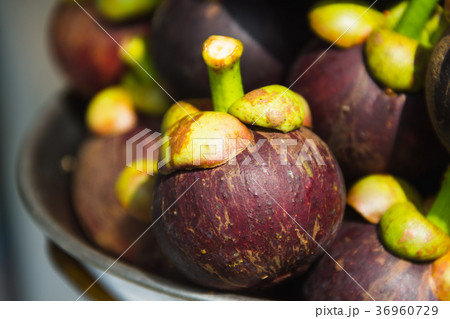 Mangosteen on the scales 36960729