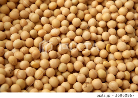 soya beans. 36960967