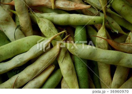 Beans piled in the shell. 36960970