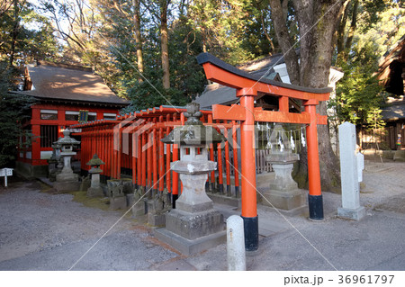 宇都宮二荒山神社 初辰稲荷神社 宇都宮二荒山神社 初辰稲荷神社 36961797
