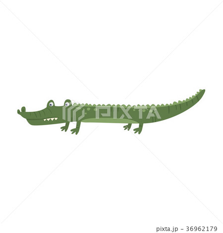 Funny cartoon alligator crocodile character. Green Funny cartoon alligator crocodile character. Green 36962179
