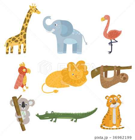 Colored set of animal and birds. Giraffe, elephant Colored set of animal and birds. Giraffe, elephant 36962199