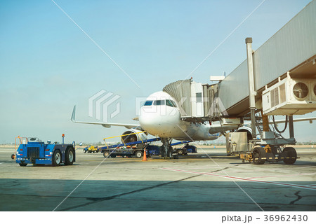Air plane in airport terminal 36962430