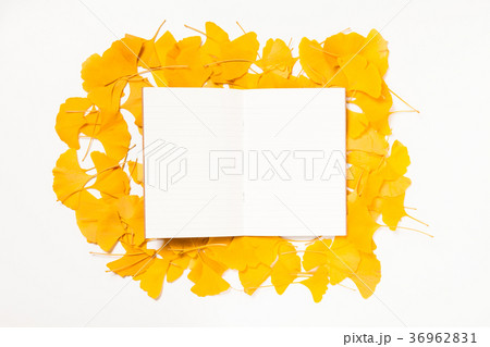 Blank paper on ginkgo leaves background Blank paper on ginkgo leaves background 36962831