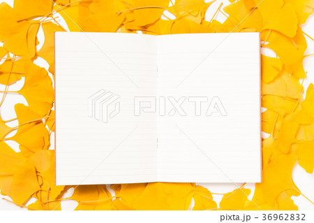 Blank paper on ginkgo leaves background Blank paper on ginkgo leaves background 36962832