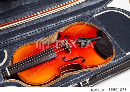 Violin in a case Violin in a case 36964073