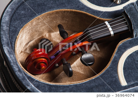 Violin in a case Violin in a case 36964074