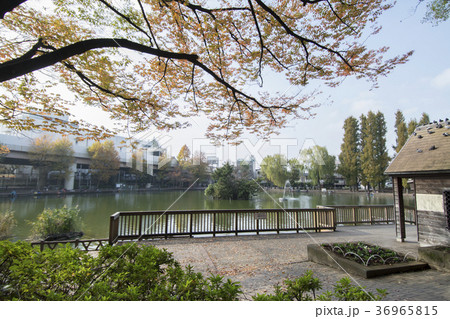 東京都板橋区 三次公園 東京都板橋区 三次公園 36965815