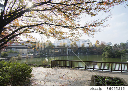 東京都板橋区　三次公園　 36965816