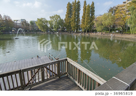 東京都板橋区　三次公園　 36965819