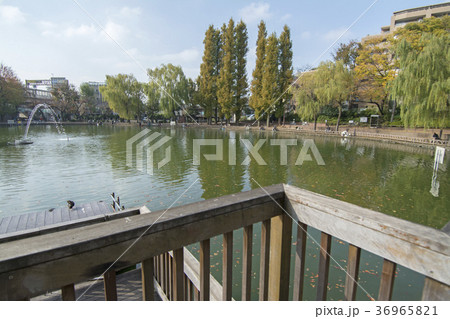 東京都板橋区　三次公園　 36965821