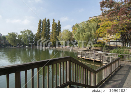 東京都板橋区　三次公園　 36965824