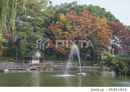 東京都板橋区　三次公園　 36965849