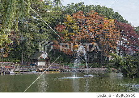東京都板橋区　三次公園　 36965850