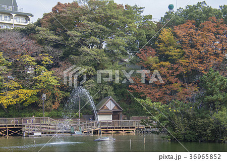 東京都板橋区　三次公園　 36965852