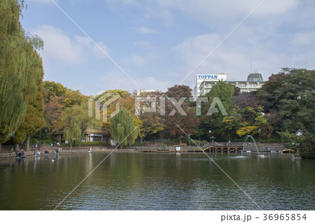 東京都板橋区　三次公園　 36965854