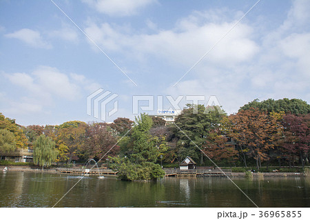 東京都板橋区 三次公園 東京都板橋区 三次公園 36965855