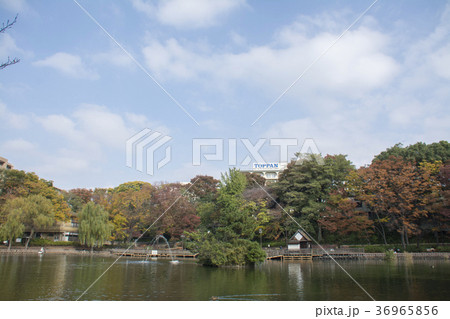 東京都板橋区　三次公園　 36965856