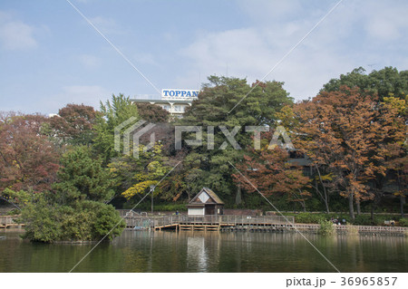 東京都板橋区　三次公園　 36965857