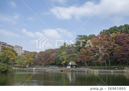 東京都板橋区　三次公園　 36965860