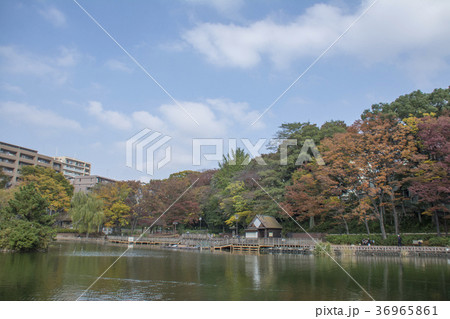 東京都板橋区 三次公園 東京都板橋区 三次公園 36965861