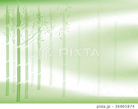 和柄　竹　和紙　イラスト　背景　　新春　ベクター 36965874