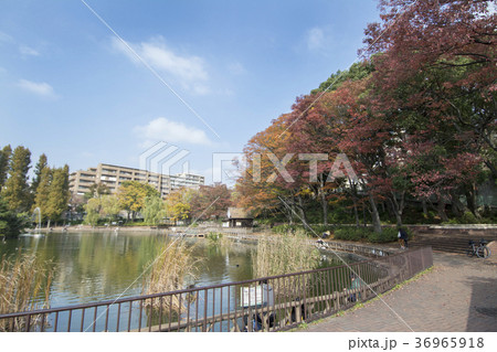 東京都板橋区　三次公園　 36965918