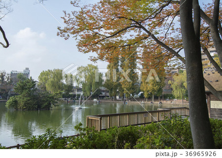 東京都板橋区　三次公園　 36965926