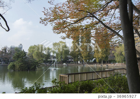 東京都板橋区　三次公園　 36965927